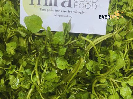 Cải Xoong Baby | Mira GoodFood – Rau tươi sạch, lá non giòn mát, vị cay nhẹ tự nhiên, giàu dinh dưỡng, phù hợp salad, nấu canh, ăn kèm (Giao hỏa tốc)