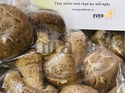 Nấm Đông Cô Tươi | Mira GoodFood – Nấm tươi sạch, thịt dày, mùi thơm đặc trưng, vị ngọt tự nhiên, phù hợp xào, kho, nấu canh, lẩu (Giao hỏa tốc)